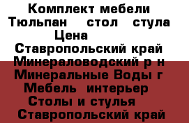 Комплект мебели “Тюльпан“(1 стол 2 стула) › Цена ­ 5 500 - Ставропольский край, Минераловодский р-н, Минеральные Воды г. Мебель, интерьер » Столы и стулья   . Ставропольский край